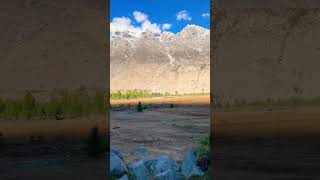 Beautiful valley ♥️♥️♥️♥️valley trees multantoskardu y [upl. by Adyela]