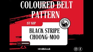 Choong Moo Tul  Balck Stripe Pattern 30 moves [upl. by Linnell]