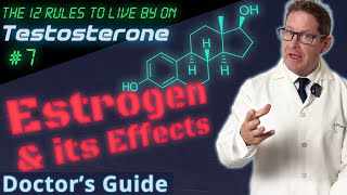 Estrogen Management on TRT  12 Rules to Live by on Testosterone  Doctors Guide [upl. by Einahpats747]