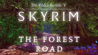 The Forest Road To Rorikstead  Walking Across All of Skyrim p6  Skyrim 4K Music amp Ambience [upl. by Arie]