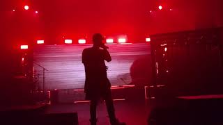 NF FORGETS THE LYRICS TO quotDREAMSquot LIVE  Starts Freestyling and amazes the audience  NF Perception [upl. by Waylen]