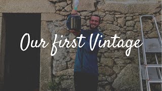 How to make Natural Wine Our First Vintage from start to finish [upl. by Hairehcaz]