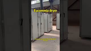 Eucommia dryer [upl. by Nauqyaj]