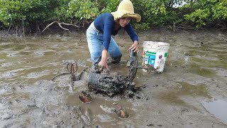 Mangrove Crab Hunt How to Catch the Biggest Mud Crabs [upl. by Francisco]