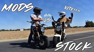 Honda Grom Speed  Stock VS Modded [upl. by Beverlee]