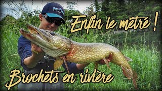 Pêche du brochet en rivière  Premier métré  Attaques en direct  BONUS  GoProHD [upl. by Karilla]