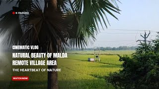 Natural Beauty of Village  Wonderful View of Gazole Block  Malda  Travel Vlog HD  itzmemons [upl. by Reltuc]