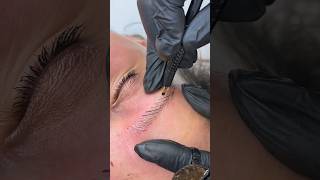 microblading eyebrows learning [upl. by Becky]