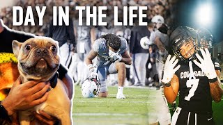 Colorado Safety  Camron SilmonCraig introduces us to… [upl. by Marilla]