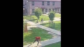 Gunman Opens Fire in Altgeld Gardens as Children Play Far South Side [upl. by Ruprecht163]