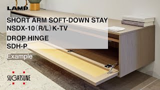 FEATURE ARM SOFTDOWN STAY NSDX10 RL KTV  DROP HINGE SDHP  Sugatsune Global [upl. by Einon]