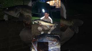 River trent zander pb 9lb 🎣 fyp foryou fishing fishinglife uk explore explorepage levelup [upl. by Trey]