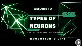 Neurons  Types of Neurons  Complete explained [upl. by Any923]