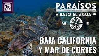 Baja California y Mar de Cortés [upl. by Kirsch]