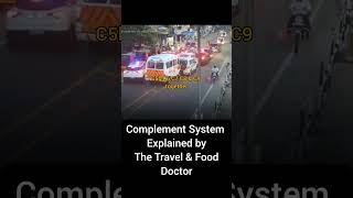 How the Immune System Kills You Complement System Explained [upl. by Nawuq783]