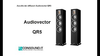 Diffusori Audiovector QR5 questa volta li abbiamo ascoltati [upl. by Wager]