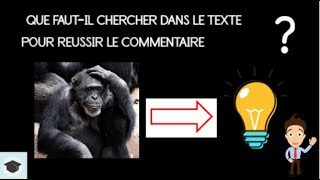 Comment trouver les idées pour réussir son commentaire de texte [upl. by Ailana]