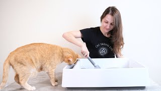 How to Clean Your Cats Litter Box Everything You Need to Know [upl. by Carmita258]