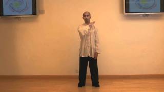 Tai Chi Qigong Shibashi  Home Study Course [upl. by Elsie]