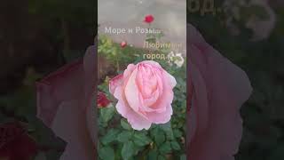 111quot24Chernomorsk [upl. by Ariaes]