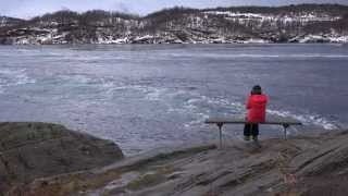 Saltstraumen Bodø Norway [upl. by Sundstrom]