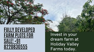 farm plots near bangalore  farm lands and farm plots near bangalore 2022 [upl. by Letney]