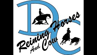 DC REINING HORSES CLASSIC 2024 [upl. by Muller]