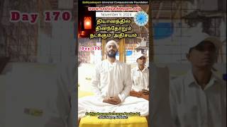 தியானத்தில் தினந்தோறும் நடக்கும் அதிசயம் vallalar sathiyadeepamsivaguru vadalur meditation [upl. by Suoirtemed]