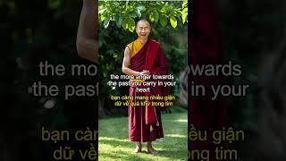 Loving in the Present  Buddhism In English fyp trending shorts motivation podcast lòngbiếtơn [upl. by Delphina537]