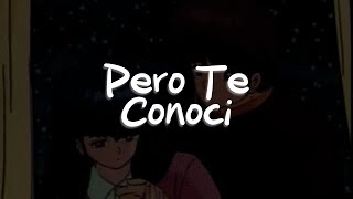 Reik  Pero Te Conocí Letra [upl. by Einnej529]