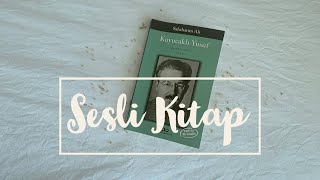 Sesli Kitap  Sabahattin Ali  Kuyucaklı Yusuf  1Kısım [upl. by Ydnat920]