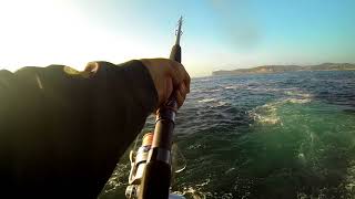 Terrigal NSW fishing bonito [upl. by Marashio406]