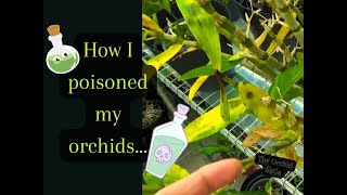 How I poisoned my Orchids [upl. by Eselahc]