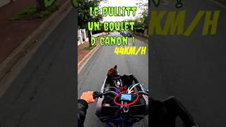 Test de Vitesse avec mes 2 Bully bouledogueamericain americanbully bullitt cargobike dogbike [upl. by Riggins]