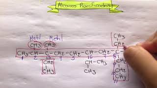 Alcanos Ramificados [upl. by Suirradal]