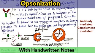 Opsonization  Mechanism  Types [upl. by Xaviera]