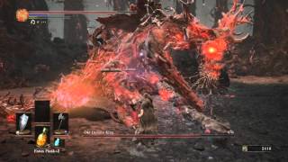 Dark Souls 3 Summon Phantom Great Swamp Cuculus Defeat Old Demon King Boss [upl. by Notsek]