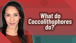 What do Coccolithophores do [upl. by April330]