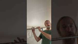 Baroque flute amateur messing with silver flute [upl. by Stander]