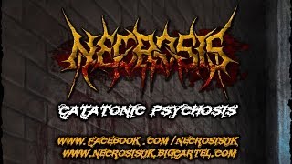 Necrosis  Catatonic Psychosis  OFFICIAL MUSIC VIDEO [upl. by Ellezig]