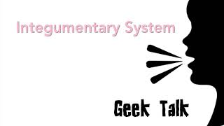 Integumentary System [upl. by Alikam633]