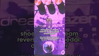 shoegazers dream reverse reverb pedal for shoegaze guitar shoegaze dreampop pedalboard [upl. by Cinimmod]