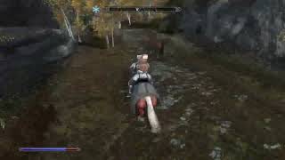 SKYRIM IRONMAN IS FUNNNN [upl. by Okiman]