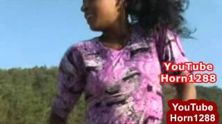 Best New Ethiopian Traditional Music [upl. by Nylednarb]