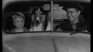 Lassie  Episode 121  quotThe Crisisquot  Season 4 18 n 01051958 [upl. by Easton812]