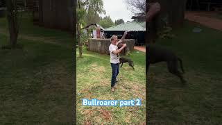 Part 2 of how a Bullroarer works indigenous [upl. by Carma]