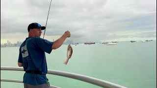 Snapper Fishing at Calzada de Amador An Anglers Paradise [upl. by Rebba521]