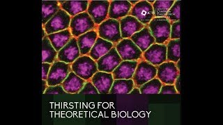 Formation and function of cellular architecture in Drosophila blastoderm embryos by Richa Rikhy [upl. by Zimmerman]