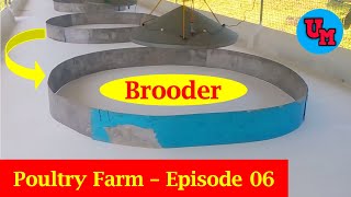 How To Prepare A Brooder For Newly Hatch Chicks  How To Set Up Chick Brooder  Episode 06  2022 [upl. by Rotce545]