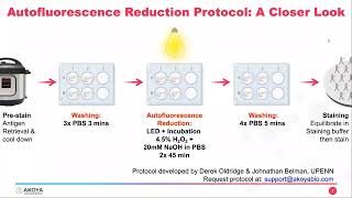 How Autofluorescence Reduction can Improve Your CODEX Workflow [upl. by Adnaloj]